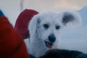 Krypto aparecerá em Superman: Legacy
