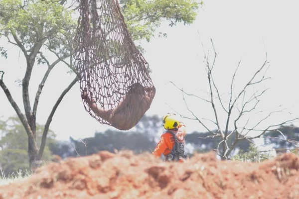 Após Carnaval, CPIs iniciam apuração sobre tragédia em Brumadinho (MG)