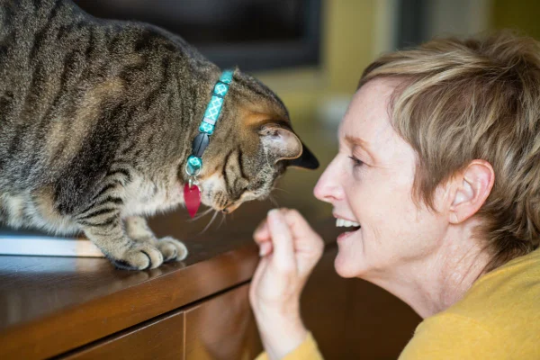 foto colorida mulher falando com gato