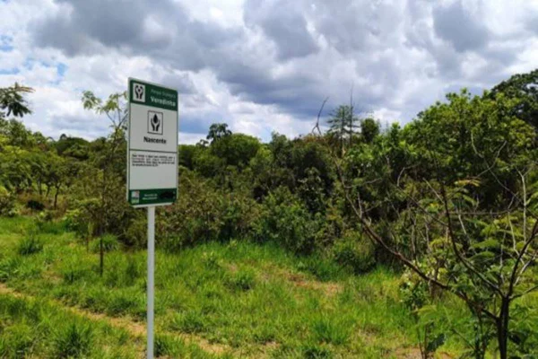 Imagem colorida de uma área verde de mata e uma placa nas cores verde e branco
