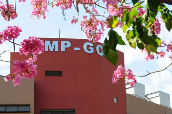 MPGO denuncia secretário de assistência social na Operação Famiglia