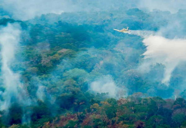 Governo diz ter identificado suspeitos de queimadas criminosas no Amazonas