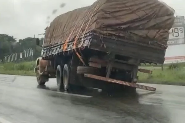 Caminhão carga torta goiás