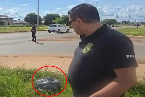 Saco de lixo com 30 kg de maconha pode ser de alvo da "Cavalona do Pó"