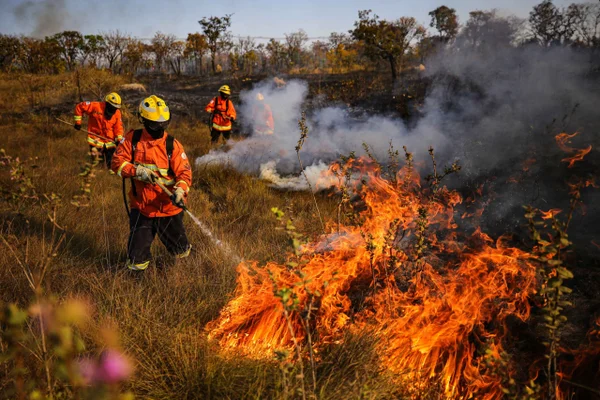 Corpo de Bombeiros Militar do Distrito Federal combate incêndio na floresta nacional de Brasília fogo cerrado metrópoles 6