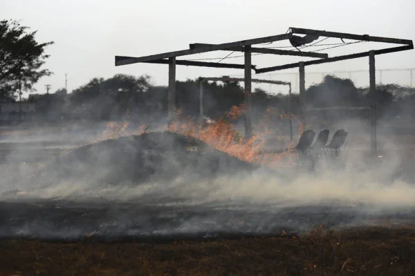 Incêndio destrói espaço de lazer em parque ecológico do DF. Veja fotos