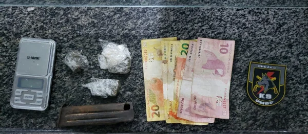 Cão ajuda PM do DF a recapturar foragido do saidão de Natal