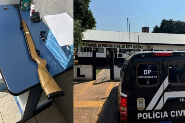 Espingarda e carro de polícia gato morto