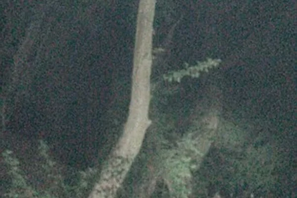 Mulher fotografa espírito e afirma que ele quer ser seu amigo