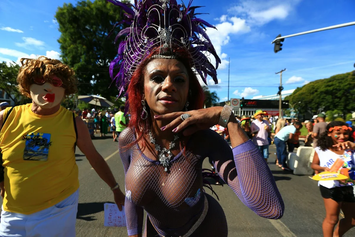 Foliões tomam as ruas de Brasília no segundo dia de carnaval - imagem 15 Foliões tomam as ruas de Brasília no segundo dia de carnaval - imagem 15