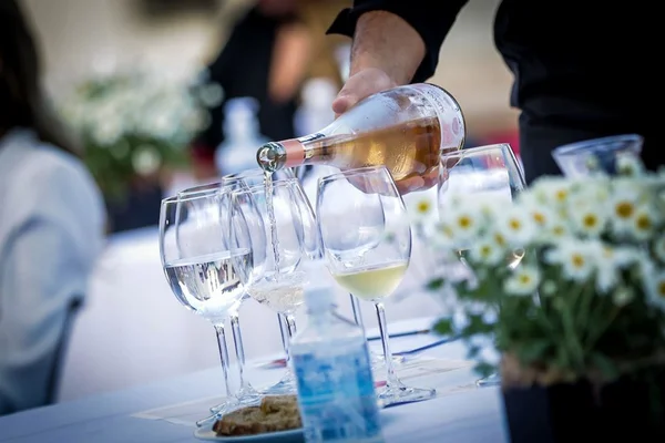 Degustação de vinhos- Histórias de Mulheres para Mulheres