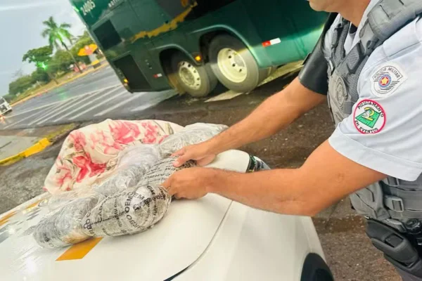 Imagem colorida mostra policial abrindo travesseiro que tinha pacotes de skank dentro. Passageira de ônibus que estava com a droga foi presa - Metrópoles
