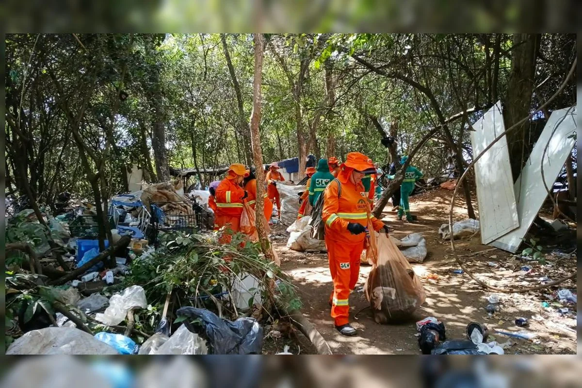 GDF promoveu a desocupação da Matinha, local classificado como área de preservação ambiental GDF promoveu a desocupação da Matinha, local classificado como área de preservação ambiental