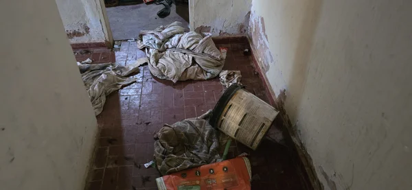 Abrigo no DF cobrava R$ 600 por mês e deixava cães morrerem