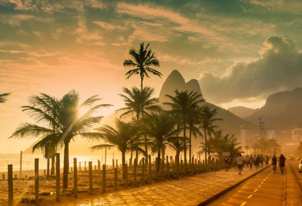Praia do Rio de Janeiro com pés de coqueiro, ao fundo o pão de açúcar, fim de tarde - Metrópoles