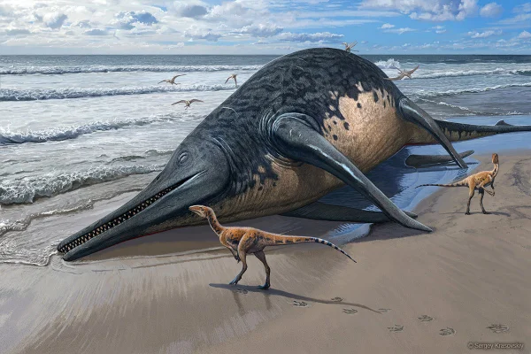 Ilustração do "monstro marinho" - Metrópoles