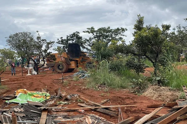 Derrubadas em área de proteção ambiental no DF devem durar 3 dias, diz PM