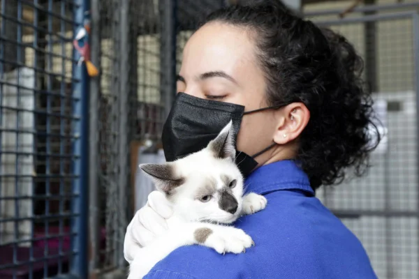 veterinária segura gatinho no colo