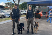 O evento é promovido pelo Comando Militar do Planalto e pelo Comando da 11ª Região Militar e é totalmente gratuito e voltado principalmente para o público infantil. O intuito é aproximar a comunidade civil do Exército Brasileiro.