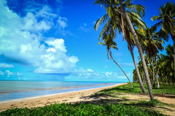 Maragogi, em Alagoas