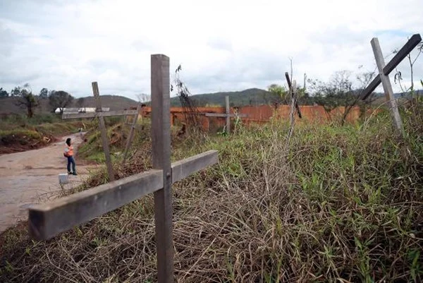Surgem primeiros indícios de recuperação ambiental em Mariana
