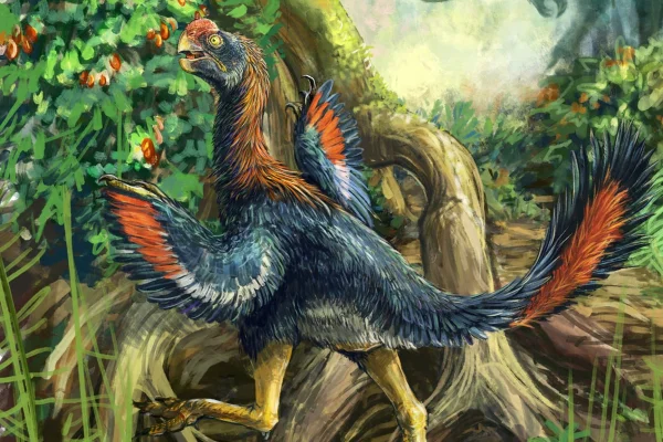 Ilustração do dinossauro Infernogallus jamesi. Metrópoles
