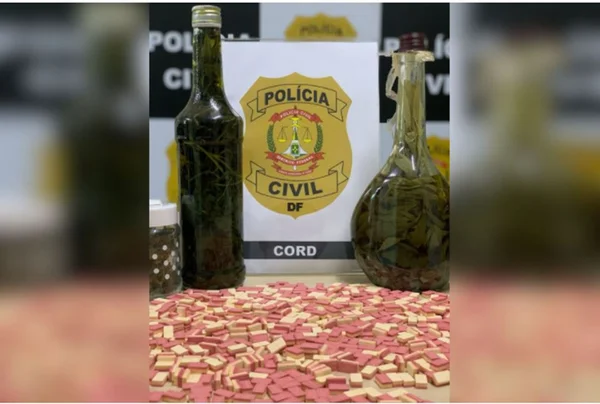 drogas apreendida
