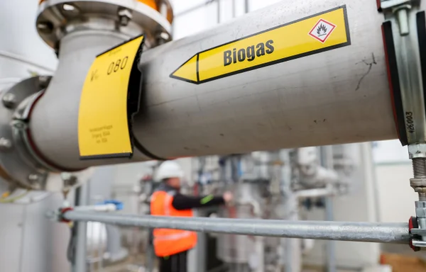 biogás