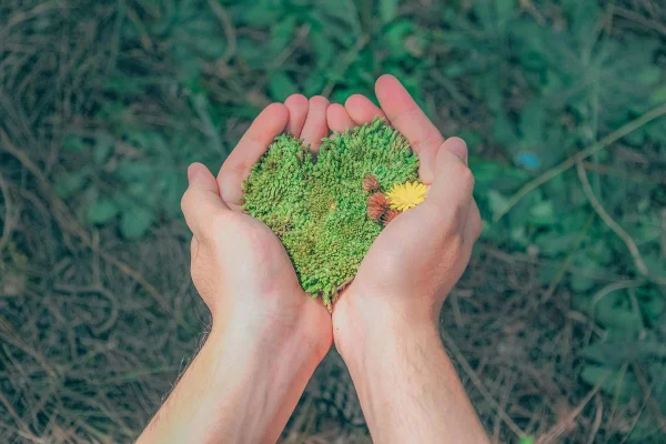 sustentabilidade