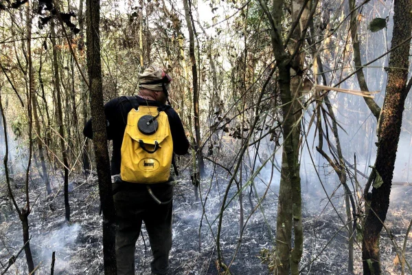 Sobe para 16 o número de municípios com focos de incêndio ativos em SP
