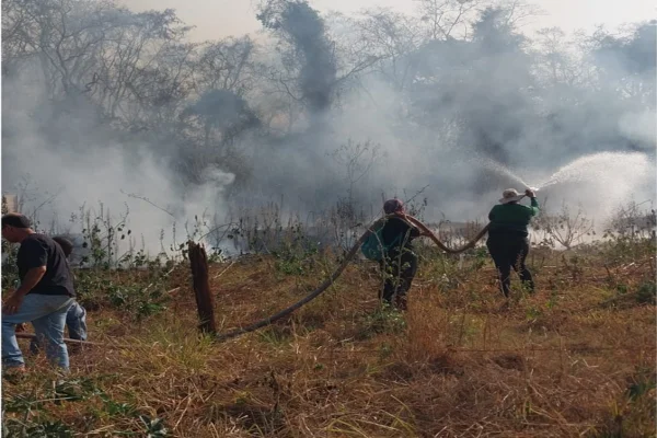 Imagem colorida, alunos combatendo o fogo diretamente em um parque - Metrópoles