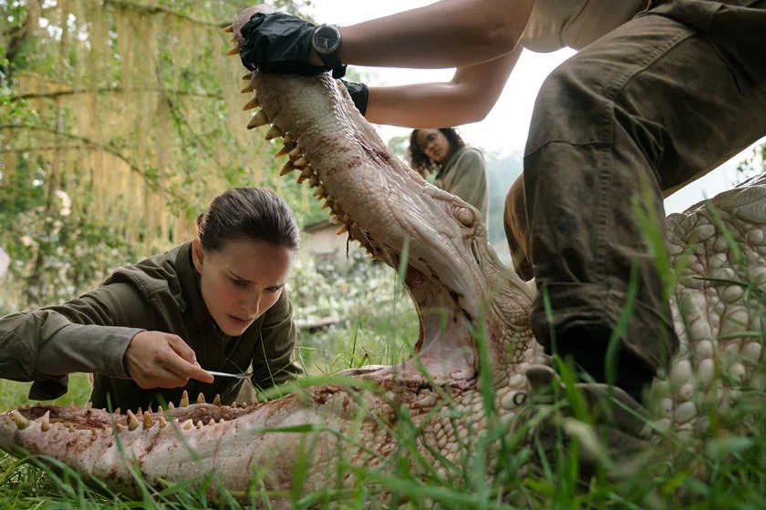 <a href="https://www.netflix.com/br/title/80206300" target="_blank"><b>Aniquilação:</b></a> Após perder o amor de sua vida, uma mulher (Natalie Portman) parte em busca de respostas com um grupo de mulheres para terminar o trabalho que seu marido não conseguiu fazer. Porém, nada pode prepará-la para os seres aterrorizantes e os horrores que as aguardam. Assista ao <a href="https://www.youtube.com/watch?v=4VHhUYx8mQ4" target="_blank">trailer</a> <a href="https://www.netflix.com/br/title/80206300" target="_blank"><b>Aniquilação:</b></a> Após perder o amor de sua vida, uma mulher (Natalie Portman) parte em busca de respostas com um grupo de mulheres para terminar o trabalho que seu marido não conseguiu fazer. Porém, nada pode prepará-la para os seres aterrorizantes e os horrores que as aguardam. Assista ao <a href="https://www.youtube.com/watch?v=4VHhUYx8mQ4" target="_blank">trailer</a>
