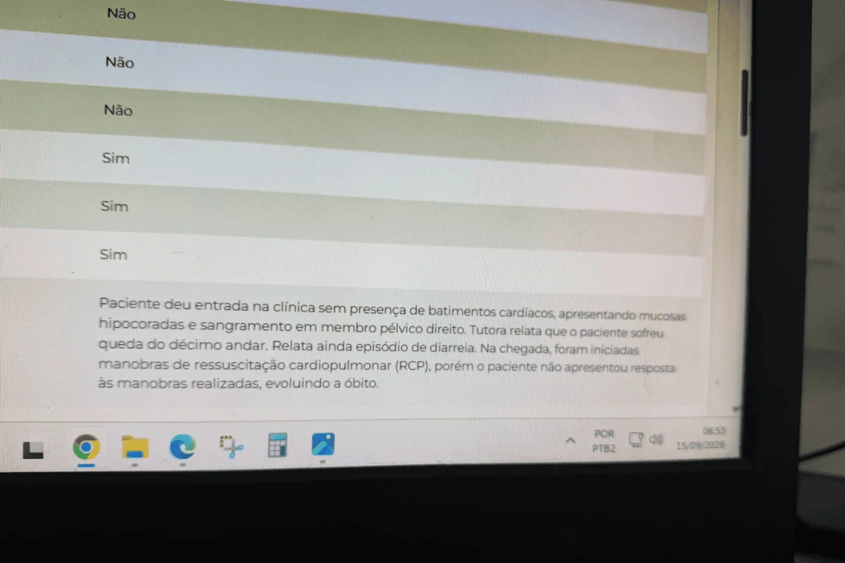Cão morre ao cair do 13° andar de prédio e vizinhos denunciam tutora Cão morre ao cair do 13° andar de prédio e vizinhos denunciam tutora