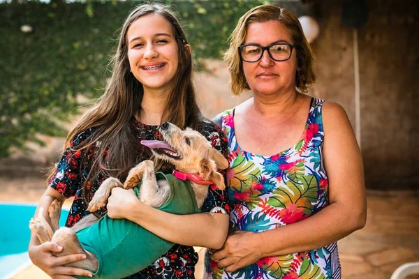 Adoção a distância: conheça 4 sites para adotar um pet sem sair de casa