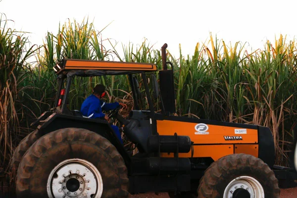 Atividade agrícola no Brasil (agronegócio)