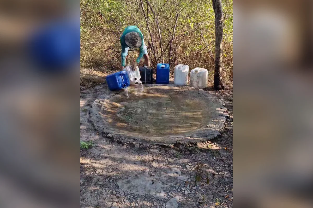 Jovem viraliza instalando bebedouros no sertão para salvar animais na seca