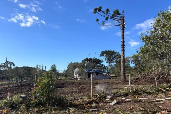 Imagem colorida mostra região afetada por tornado no Paraná - Metrópoles