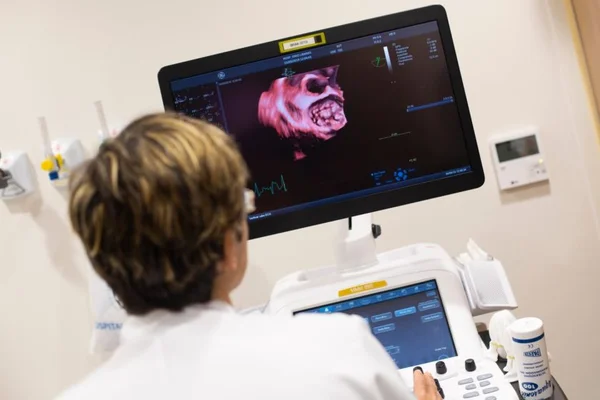 Ministério da Saúde planeja mudar prova de validação do diploma médico