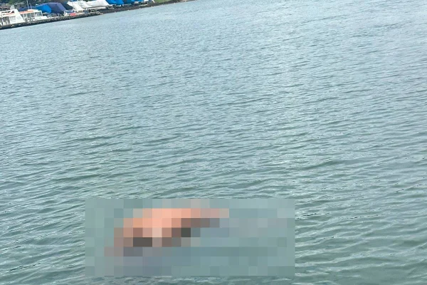 Corpo é encontrado amarrado a pedras dentro do Lago Paranoá. Vídeo
