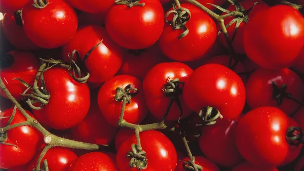 tomates vermelhos - Metrópoles