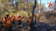 Ainda de acordo com o CBMDF, 22 hectares foram destruídos Ainda de acordo com o CBMDF, 22 hectares foram destruídos