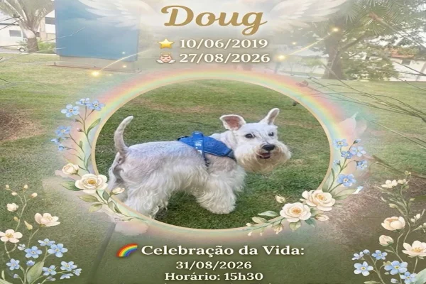Cão morre ao ser atacado por golden em condomínio do DF; polícia investiga - destaque galeria Cão morre ao ser atacado por golden em condomínio do DF; polícia investiga - destaque galeria