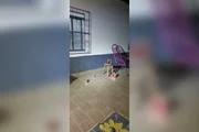 Suspeito de agredir mulher decepa mão de PM e é baleado em MT - imagem 4 Suspeito de agredir mulher decepa mão de PM e é baleado em MT - imagem 4