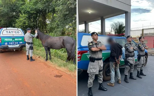 goias homem furta cavalo e tenta vende-lo