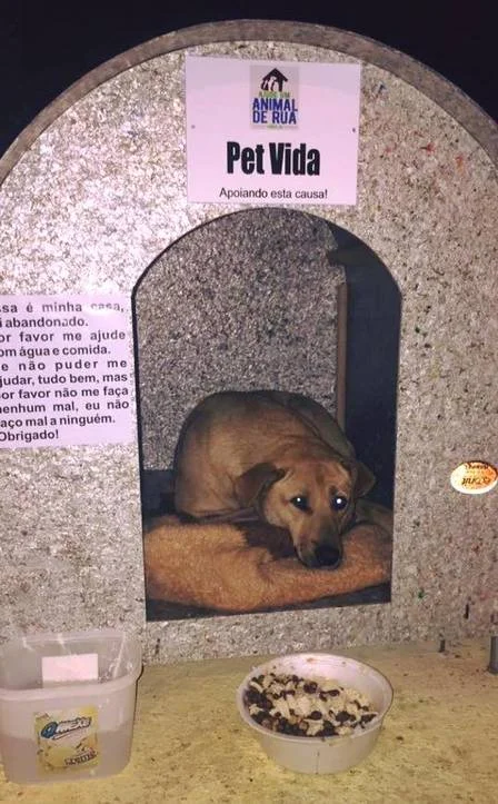 Projeto instala casinhas nas ruas para abrigar animais do frio