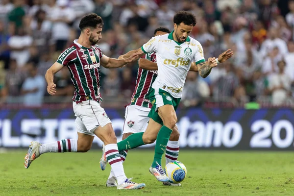 Foto colorida do jogo entre Fluminense e Palmeiras, pelo Brasileirão 2024 - Metrópoles