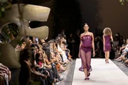 Desfile Cearensy Desfile Cearensy