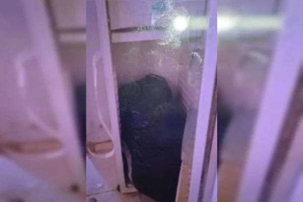 Mulher é encontrada morta dentro de saco de lixo guardado em geladeira - destaque galeria