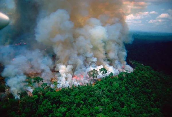 Macron usou foto antiga para criticar no Twitter queimadas na Amazônia