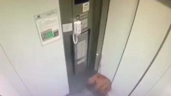 Cachorro fica pendurado com coleira presa a elevador